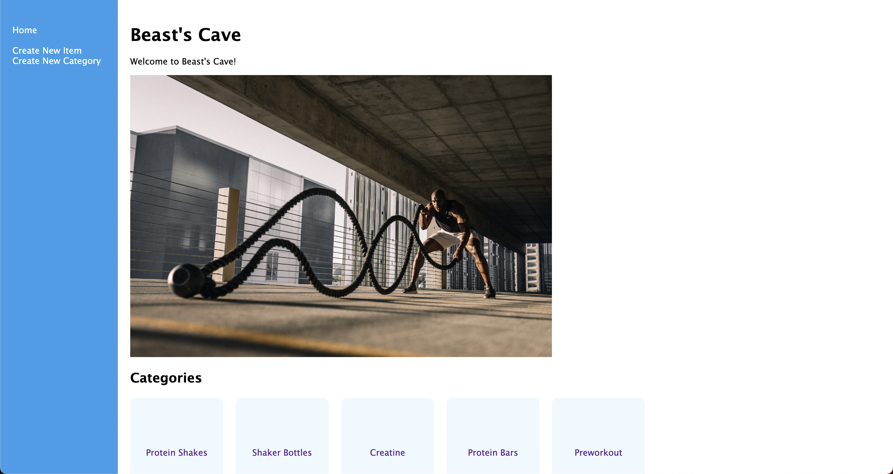 project screenshot